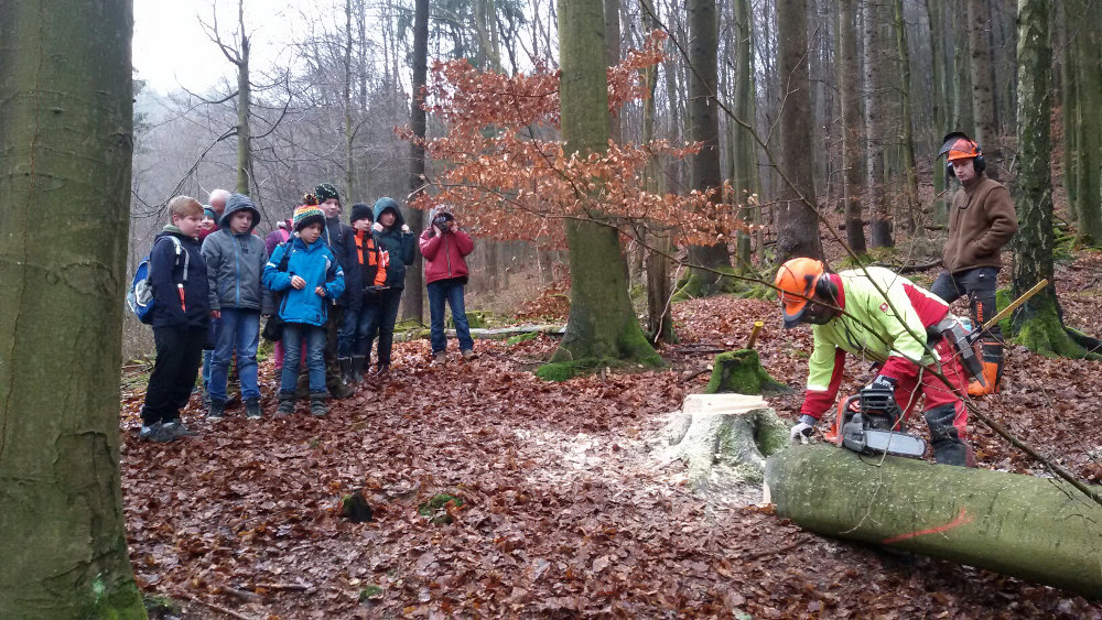 Holz 2016 02 klein